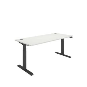 Office Rectangular Dual Motor Sit Stand Desk