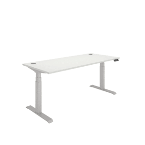 Office Rectangular Dual Motor Sit Stand Desk