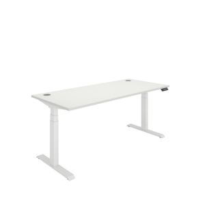 Office Rectangular Dual Motor Sit Stand Desk