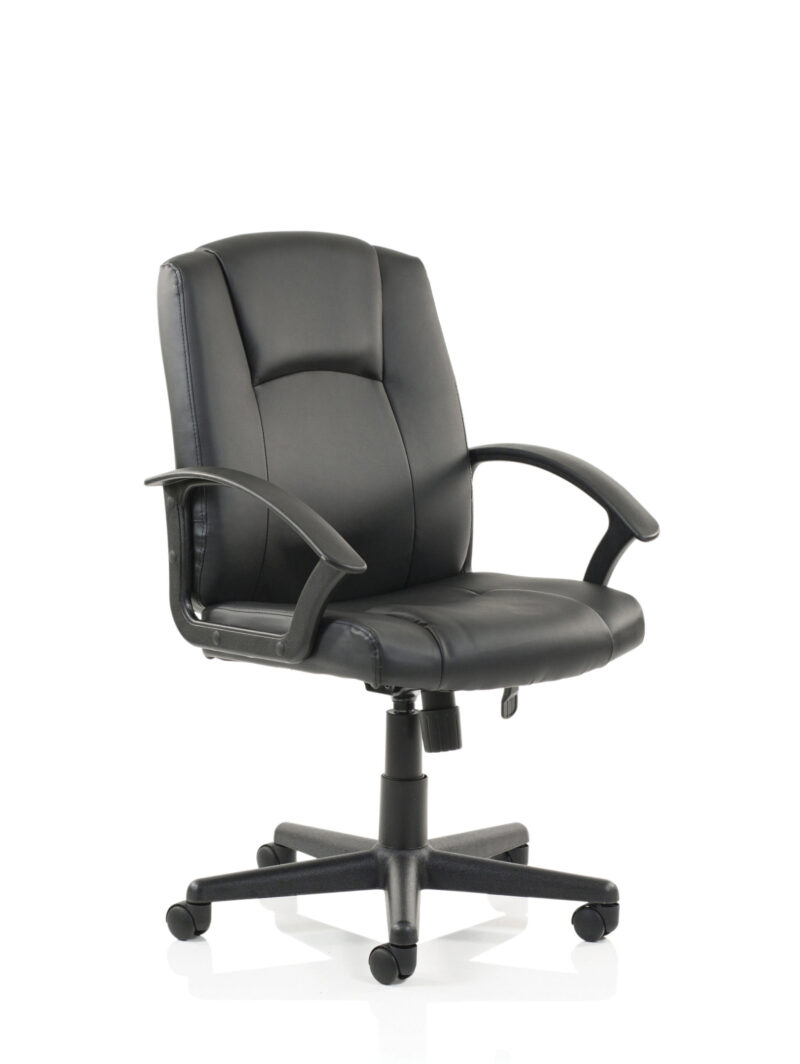 Elana Medium Back Executive Office Chair with Arms - Image 9