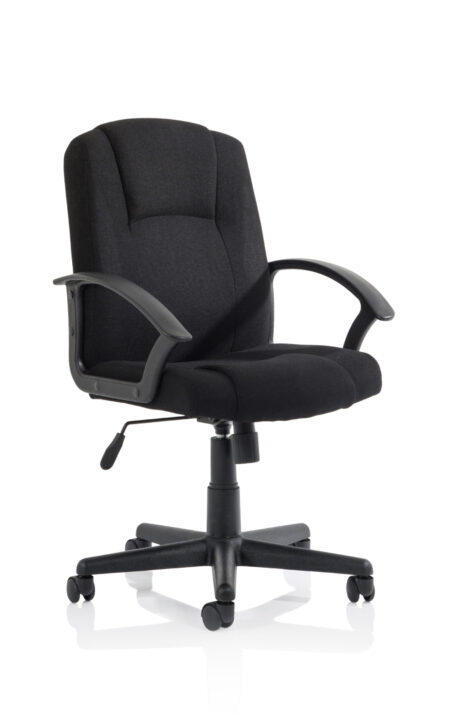 Elana Medium Back Executive Office Chair with Arms