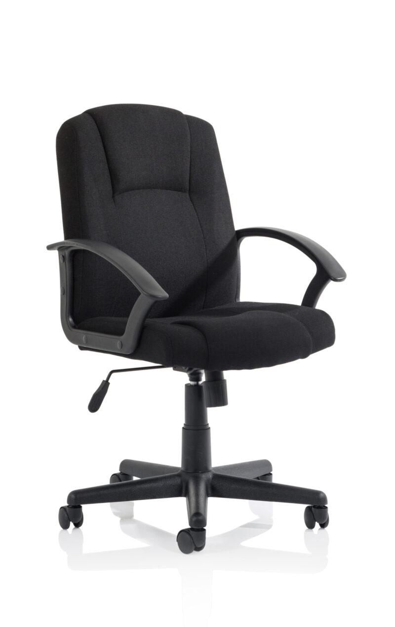 Elana Medium Back Executive Office Chair with Arms