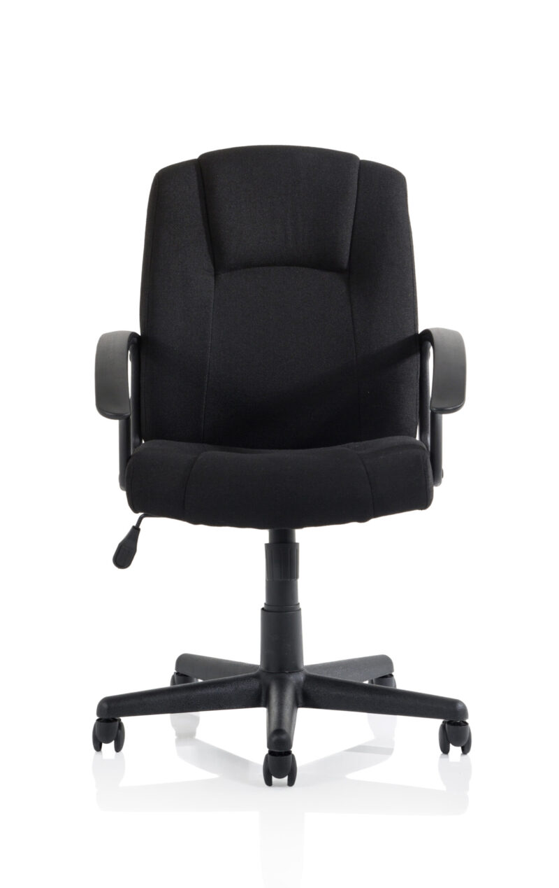 Elana Medium Back Executive Office Chair with Arms - Image 2