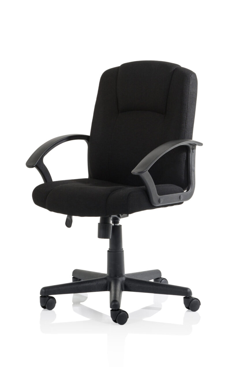Elana Medium Back Executive Office Chair with Arms - Image 3
