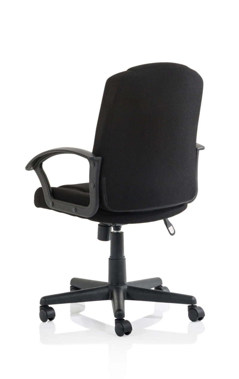 Elana Medium Back Executive Office Chair with Arms - Image 5