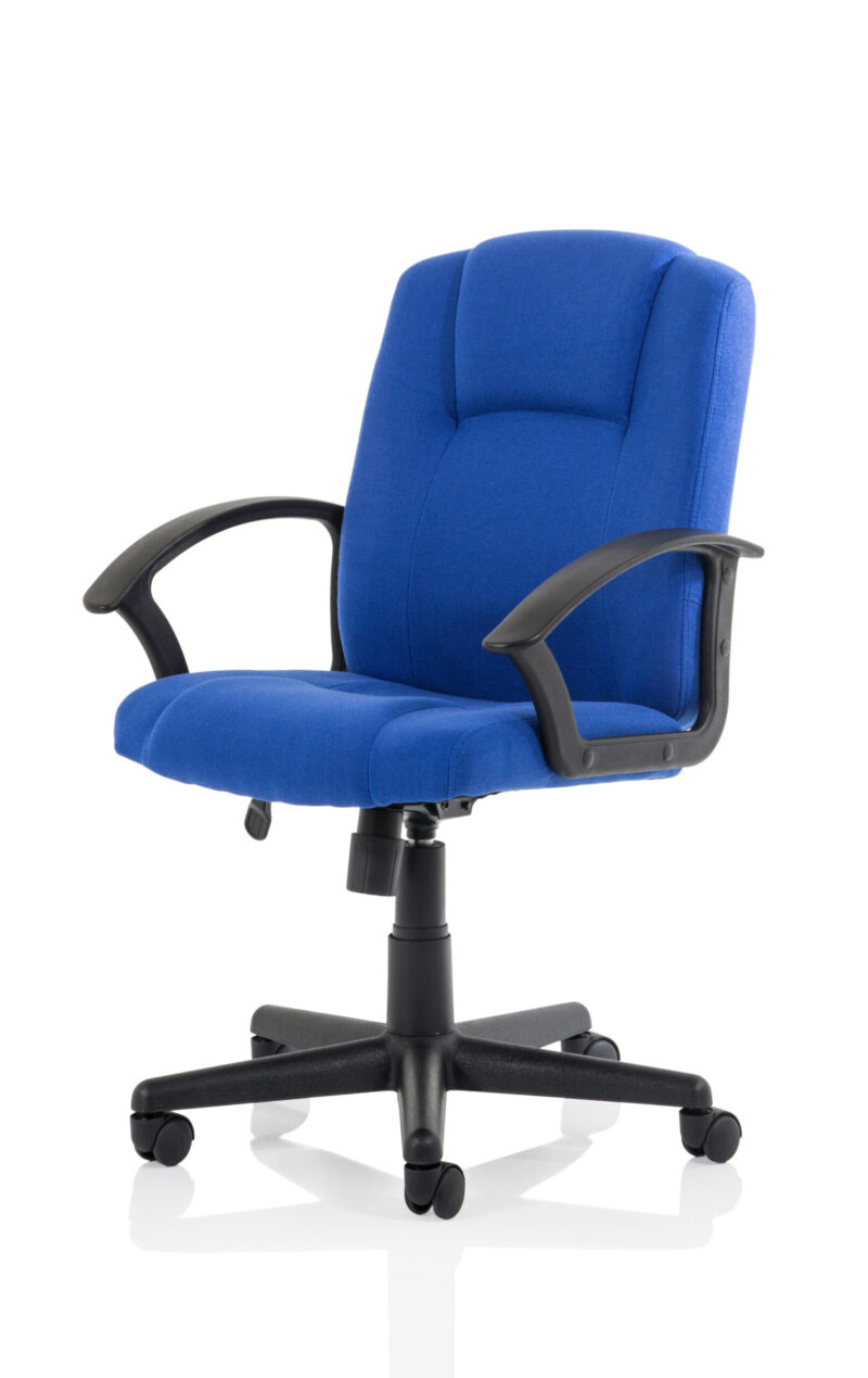 Elana Medium Back Executive Office Chair with Arms - Image 19