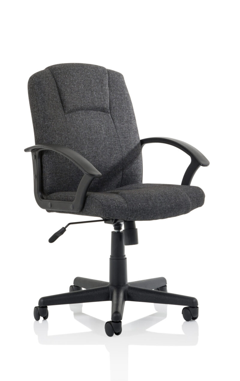 Elana Medium Back Executive Office Chair with Arms - Image 25