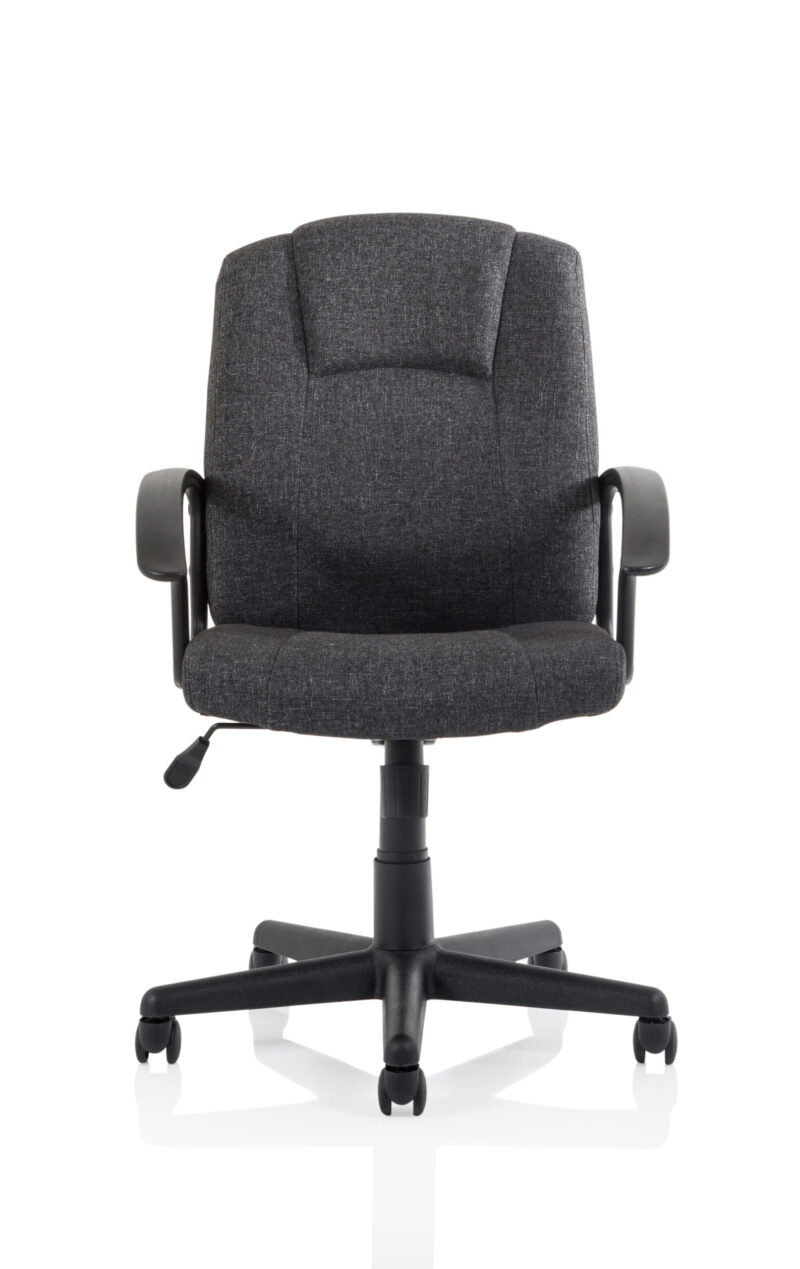 Elana Medium Back Executive Office Chair with Arms - Image 26