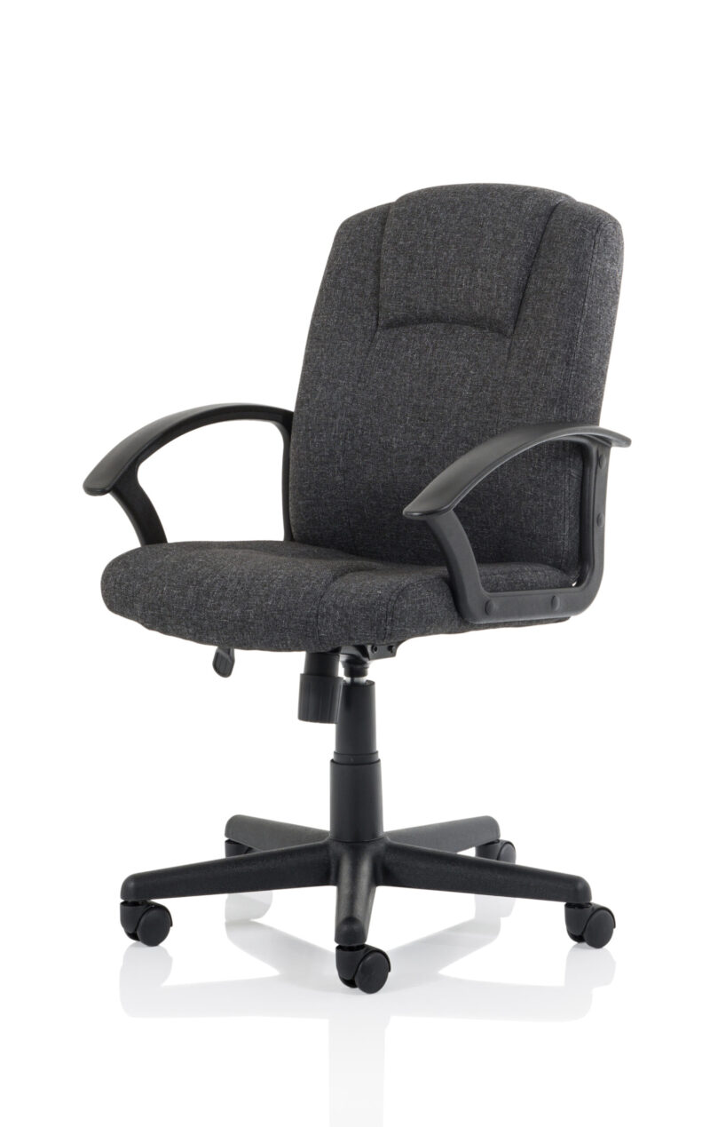 Elana Medium Back Executive Office Chair with Arms - Image 27