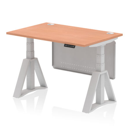 Breeze Height Adjustable Desk With Cable Ports With Steel Modesty Panel With Piste Foot