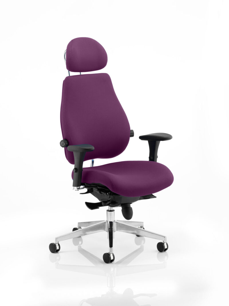 Align Plus Ultimate High Back Ergonomic Posture Chair with Arms and Headrest - Image 32