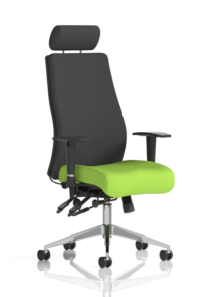 Obsidian High Back Ergonomic Posture Chair with Height Adjustable Arms - Image 38
