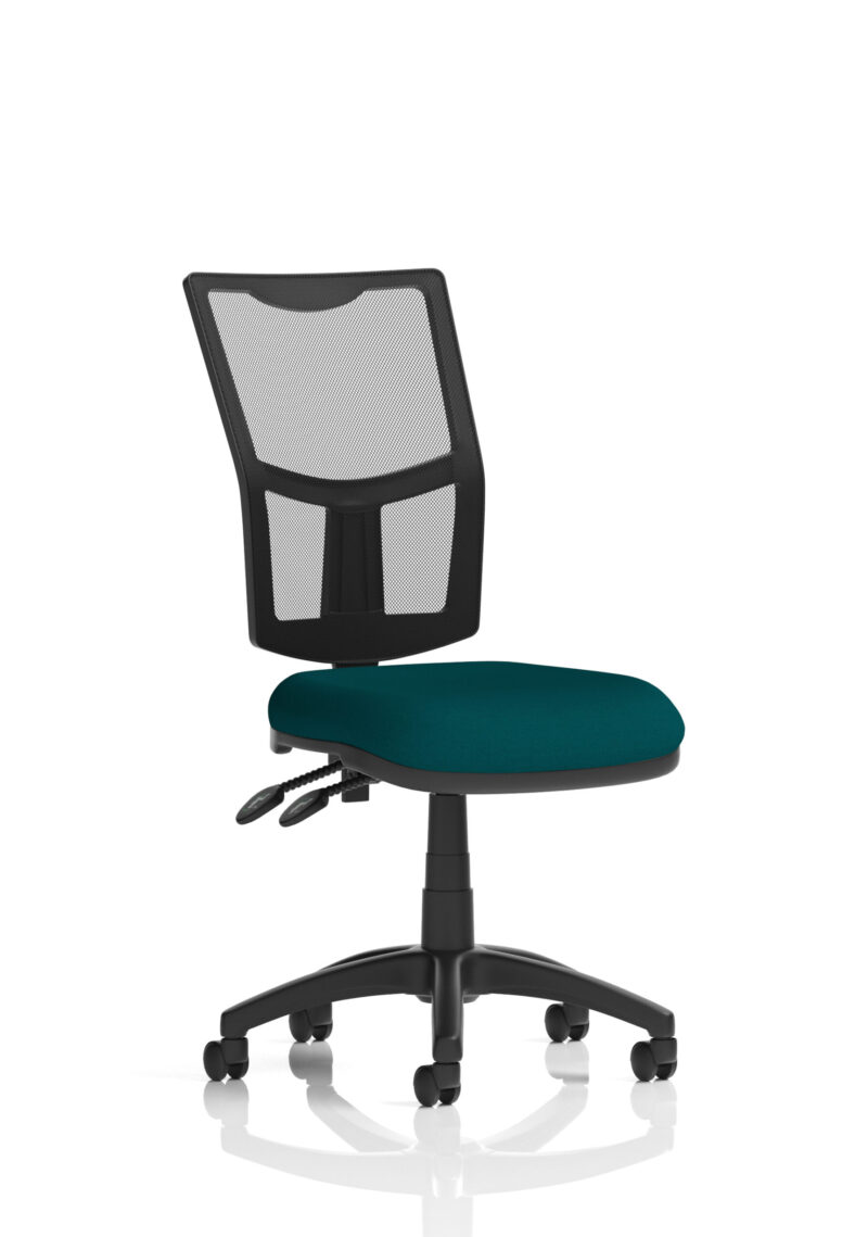 Nova Plus II Medium Mesh Back Task Operator Office Chair - Image 50