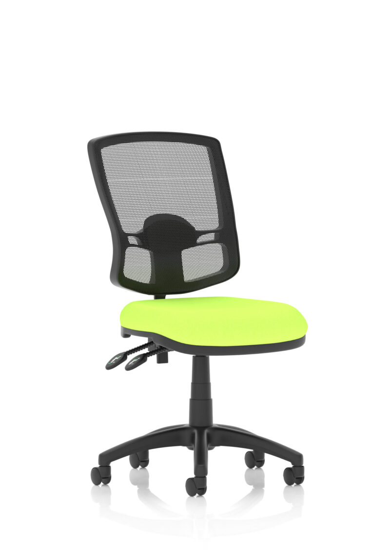 Nova Plus II Deluxe Mesh Back Task Operator Office Chair - Image 38