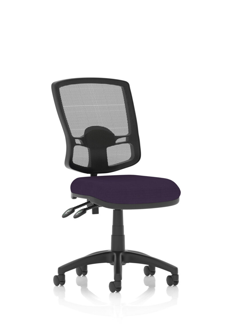 Nova Plus II Deluxe Mesh Back Task Operator Office Chair - Image 50
