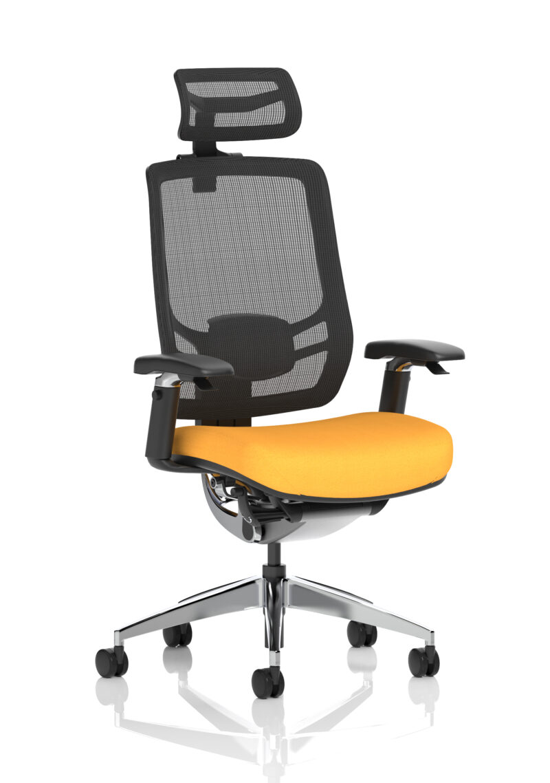 Aligno Click High Back Alignonomic Posture Office Chair with Arms - Image 45