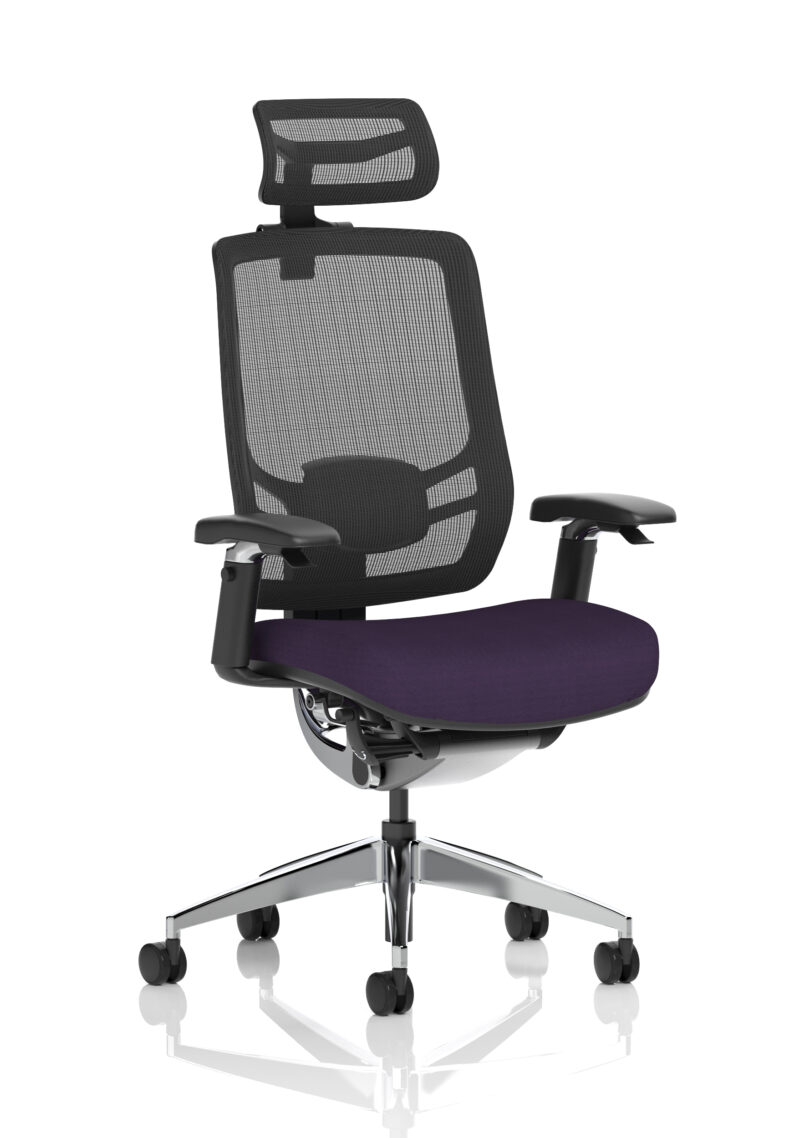 Aligno Click High Back Alignonomic Posture Office Chair with Arms - Image 54