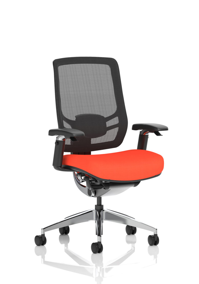 Aligno Click High Back Alignonomic Posture Office Chair with Arms - Image 44
