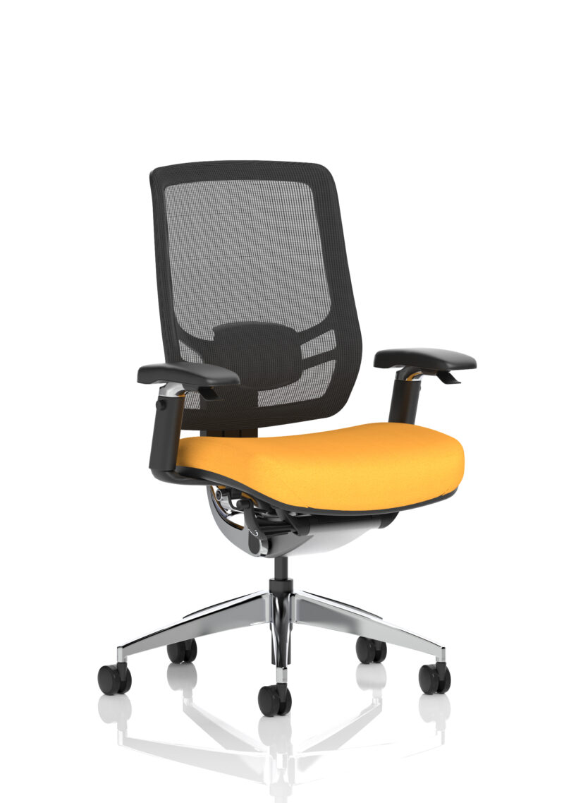 Aligno Click High Back Alignonomic Posture Office Chair with Arms - Image 47