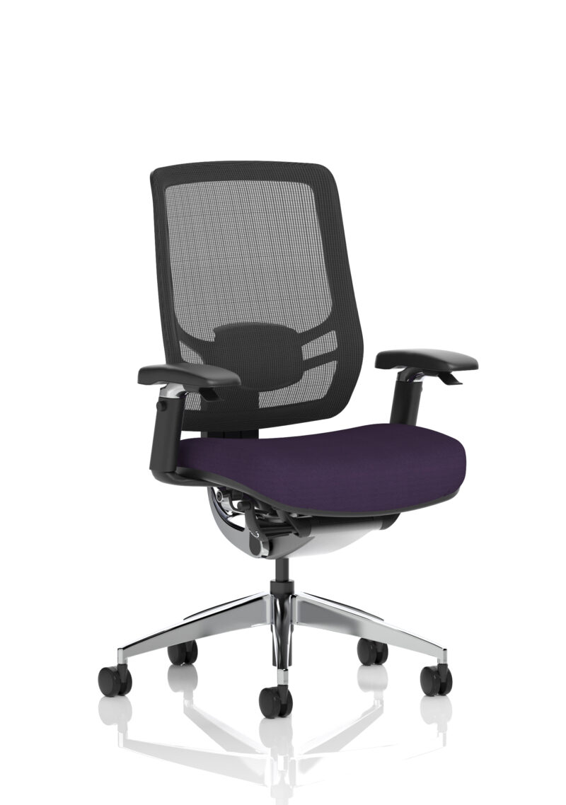 Aligno Click High Back Alignonomic Posture Office Chair with Arms - Image 56