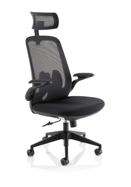Alpha Executive Mesh Chair With Folding Arms