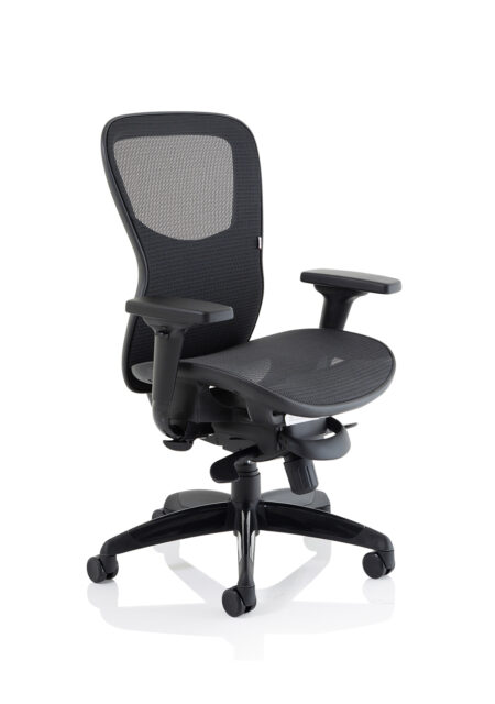 Shadow Shadow High Mesh Back Ergonomic Posture Chair with Arms