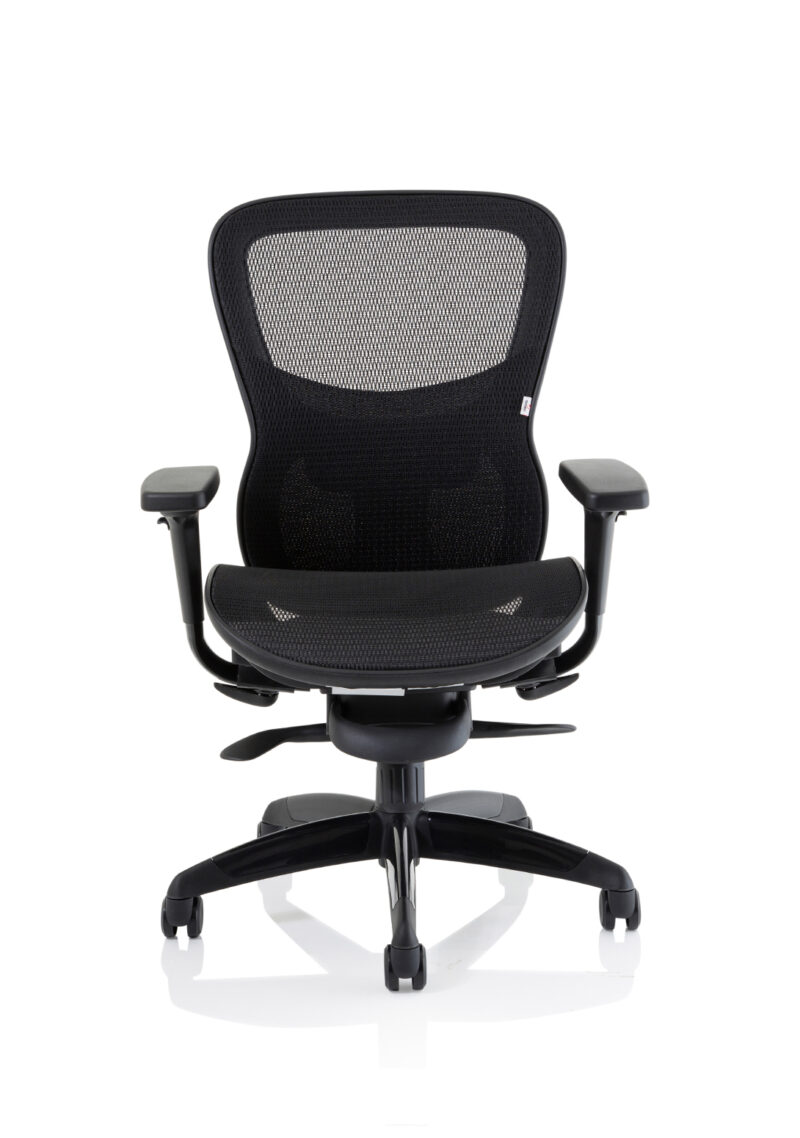 Shadow Shadow High Mesh Back Ergonomic Posture Chair with Arms - Image 2