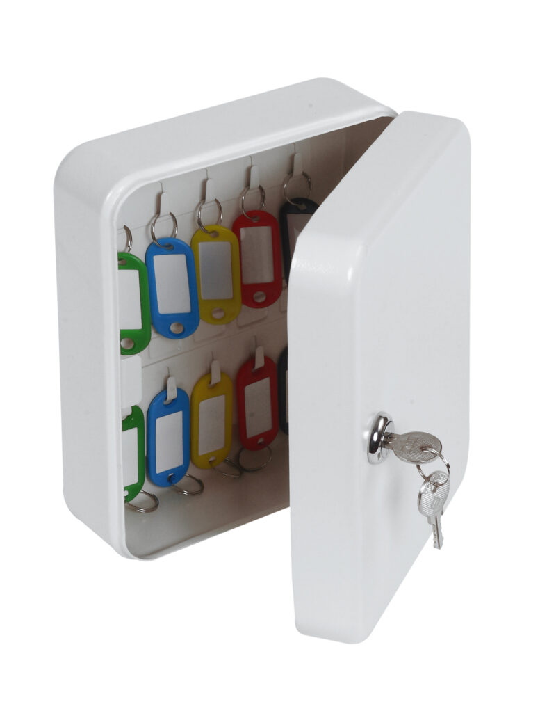 Ignix Key Box - Image 2
